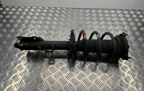 Hyundai Tucson TL Front shock absorber/damper 54660F1550