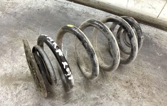 Rear coil spring