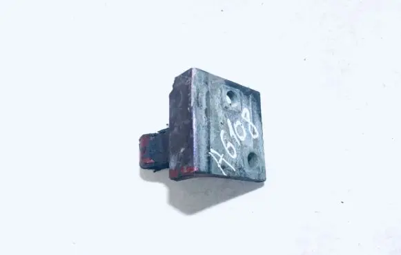 Citroen Berlingo Rear door lower hinge