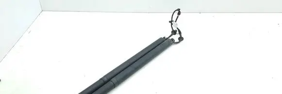 Tailgate strut