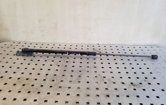 Renault Megane III Tailgate/trunk strut/damper 904510002R