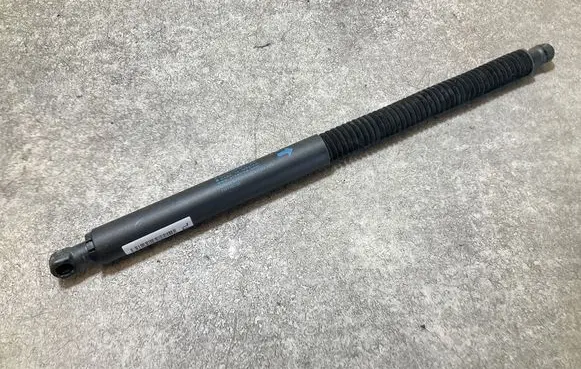 Tailgate/trunk strut/damper