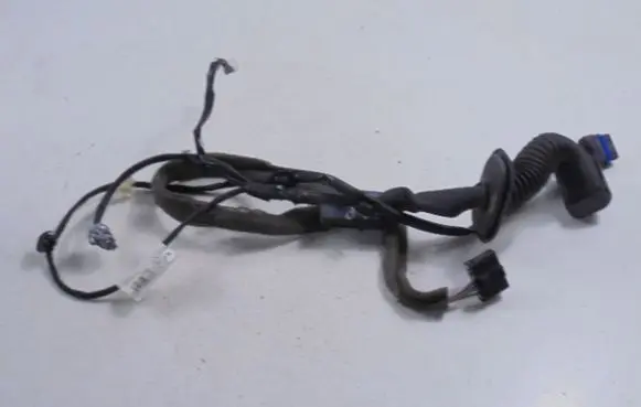Renault Kangoo II Front door wiring loom 8200809174
