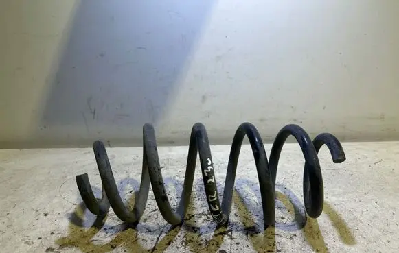 Dacia Duster II Rear coil spring