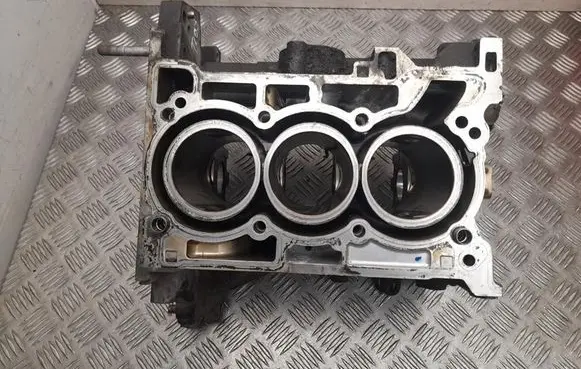Dacia Sandero Engine block 110112160R