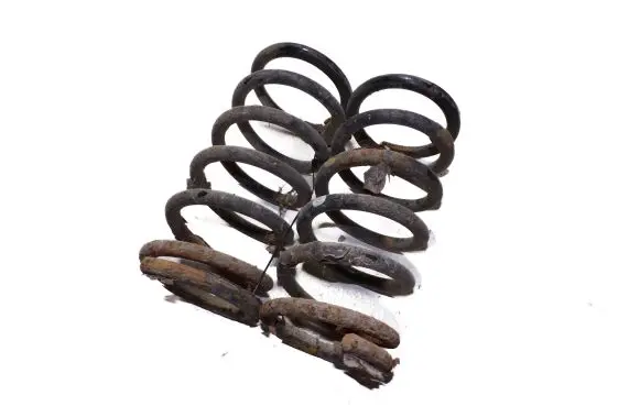 Hyundai Santa Fe Rear coil spring