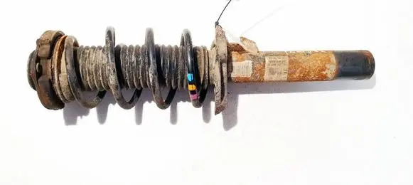 Skoda Octavia Mk2 (1Z) Front shock absorber/damper 1t0413031gn 824904003450