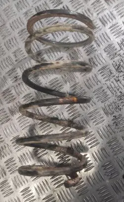 Front coil spring