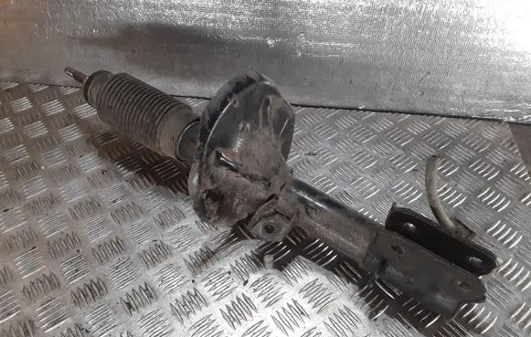Hyundai Santa Fe Front shock absorber/damper
