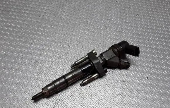 Renault Espace - Grand espace IV Fuel injector 0445110084