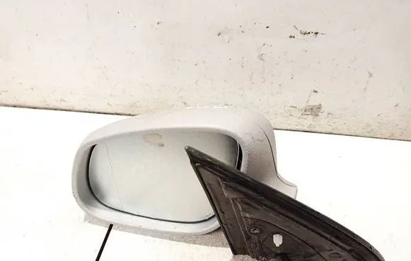Porsche Cayenne (9PA) Front door electric wing mirror E1010716