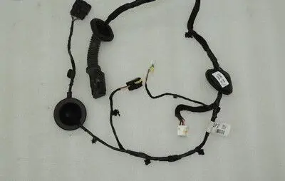 KIA Sportage Rear door wiring loom 91660F1020