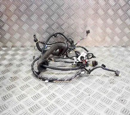 Tesla Model 3 Front door wiring loom 306795702C