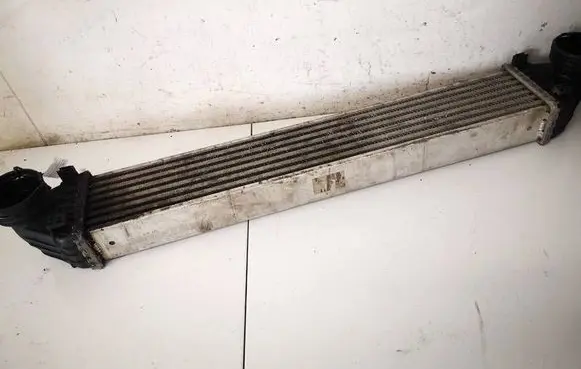 Mercedes-Benz A W169 Intercooler radiator A1695000000