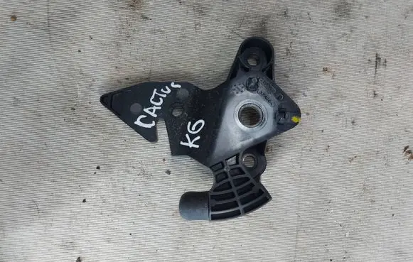 Citroen C4 Cactus Other interior part 1118342