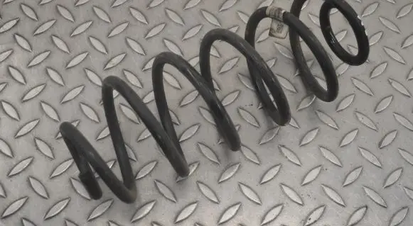 Ford Puma Rear coil spring L1TC5560BEA