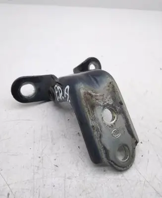 KIA Optima Front door lower hinge 