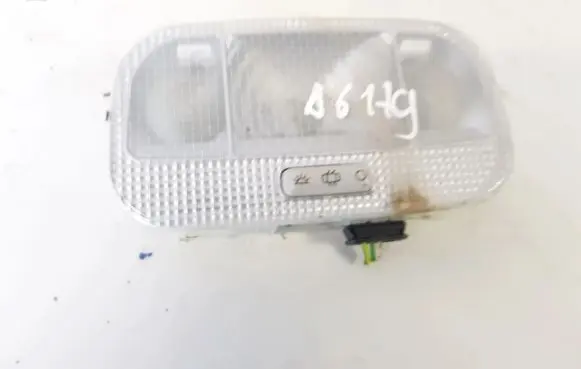 Citroen Berlingo Front seat light 9669069980