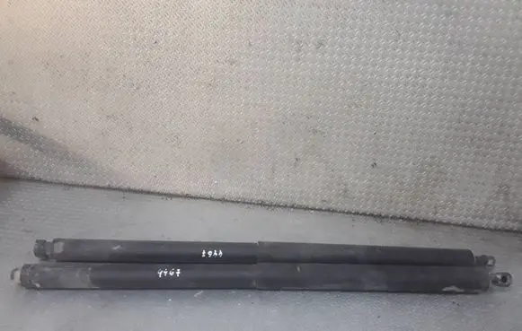 Opel Insignia A Tailgate/trunk strut/damper 005128