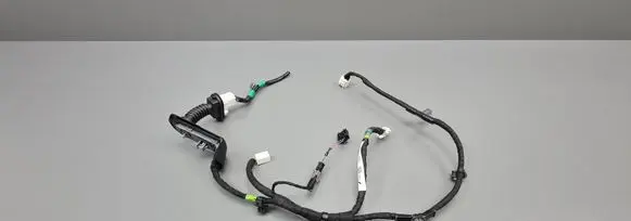 Rear door wiring loom
