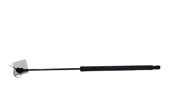 Tailgate/trunk strut/damper