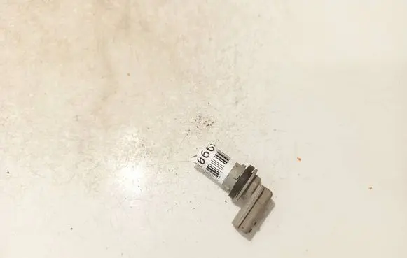 Renault Laguna III Rear tail light bulb 