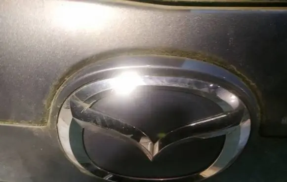 Manufacturer badge logo/emblem
