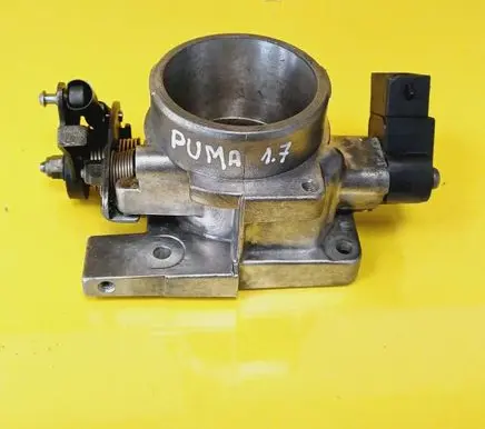Throttle body valve