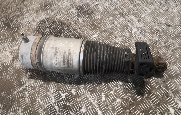 Porsche Cayenne (9PA) Rear shock absorber/damper 7L5512022G