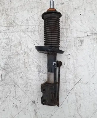 Fiat Doblo Front shock absorber/damper 51880843 824903008433