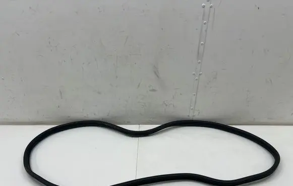 Hyundai IONIQ 6 Rear door rubber seal (on body) 