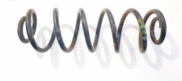 Rear coil spring