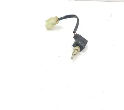 Hyundai Santa Fe Brake pedal sensor switch