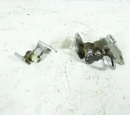 Volkswagen PASSAT B6 Front door hinge set 
