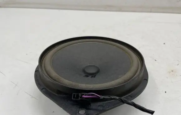 Front door speaker