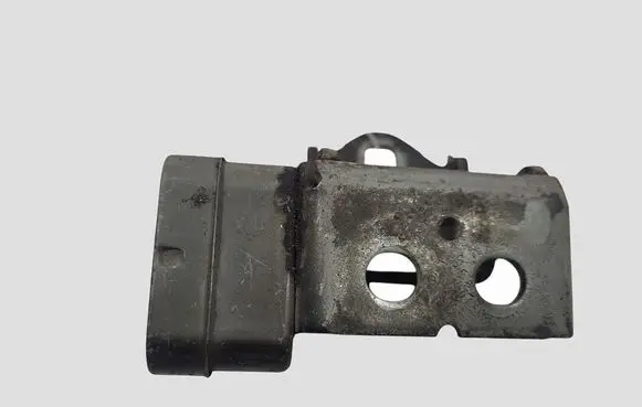 Renault Scenic II - Grand scenic II Front door upper hinge