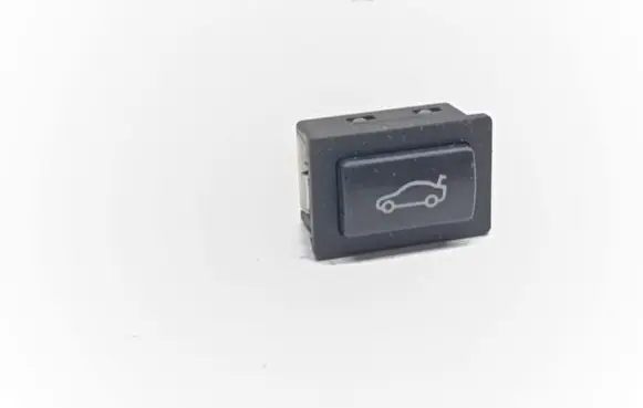 BMW 3 E92 E93 Tailgate opening switch 6921846