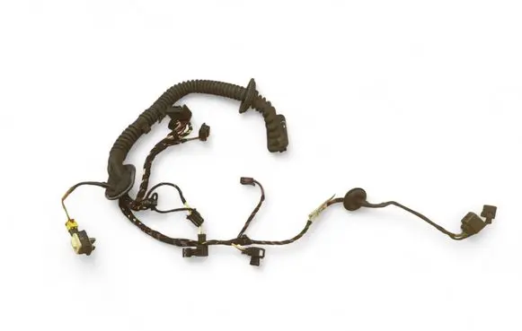 Porsche Cayenne (92A) Front door wiring loom 7P5971161BE 7P5971161B 7P5971161