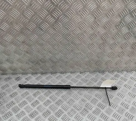 Front bonnet/hood damper/strut