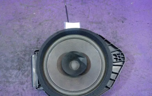 Opel Adam Front door speaker 22759391