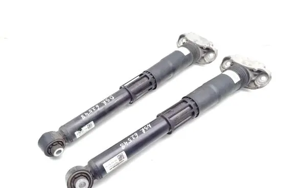 Volkswagen ID.3 Rear shock absorber/damper 1EA512011AH 1EA513425B