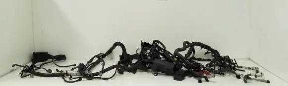 Engine installation wiring loom