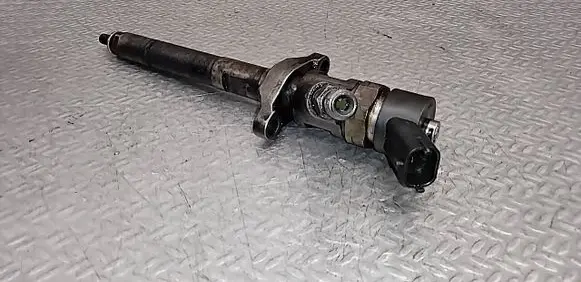 Volvo C30 Fuel injector 0445110259