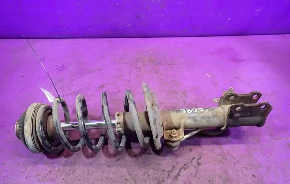 Opel Zafira B Front shock absorber with coil spring 