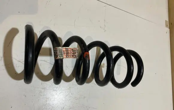 Ford Mustang VI Rear coil spring JR3C5560CA