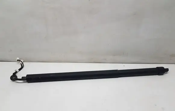 Tailgate/trunk strut/damper