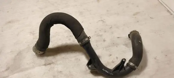 Dacia Sandero III Intercooler hose/pipe 310000195603