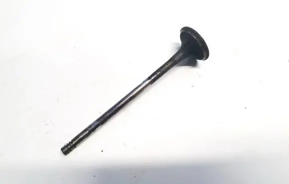 Renault Vel Satis Valve 