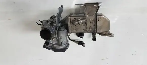 EGR valve
