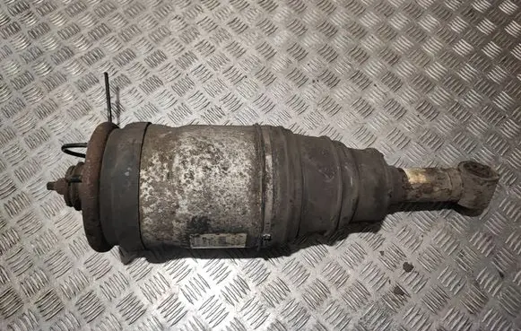 Land Rover Range Rover Sport L320 Rear shock absorber with coil spring 22257275